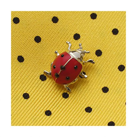 Ladybird pin-brooch EQ001DR